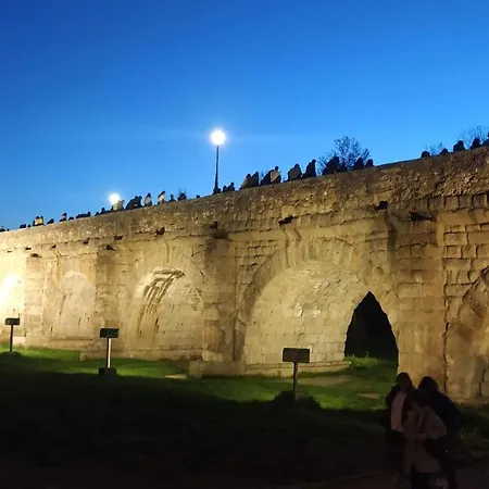 Vut Balboa Salamanca